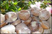 Estos son los suspiros que alguna vez prepara y vende a sus fans. El sabor de la mantequilla sorprendio hasta el paladar de los ni�os.