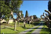 Al fondo del paseo de plataneros, est� la bell�sima iglesia p�blica de San Juan de Priorio.